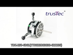Changzhou Trustec Motor YDK-250-6B61 Test Videosu