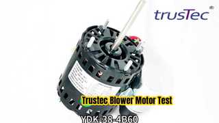 Changzhou Trustec AC Fan Motoru Testi YDK-38-4B60